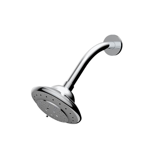 Santec Multifunction Showerhead with Arm and Flange